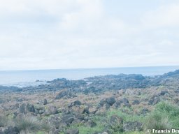 Acores